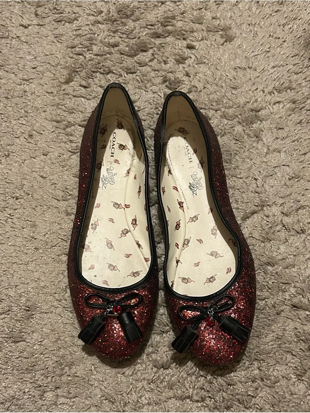 COACH x The Wizard of Oz Maryjane Flat Ruby Slippers 7.5 B